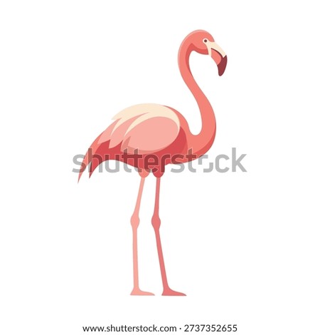 Greater Flamingo flat vector illustration logo clipart