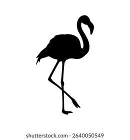 Greater flamingo silhouette vector flat illustration design.