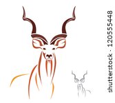 Greater Kudu has the longest horns in the world