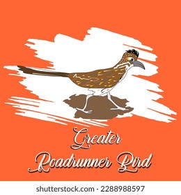 greater roadrunner bird VECTOR. EPS