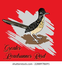 greater roadrunner bird vector illustration