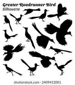 Greater roadrunner vector illustration silhouette set