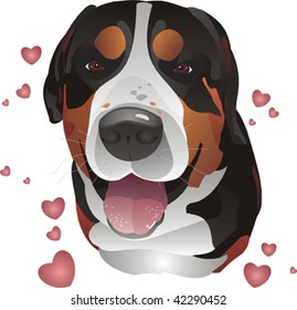 Greater Swiss Mountain Dog