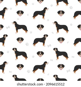 Greater Swiss mountain dog seamless pattern. Different poses, coat colors set.  Vector illustration