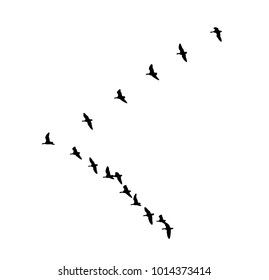 Greater white-fronted goose wedge in flight. Vector silhouette a flock of birds