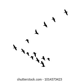Greater white-fronted goose wedge in flight. Vector silhouette a flock of birds