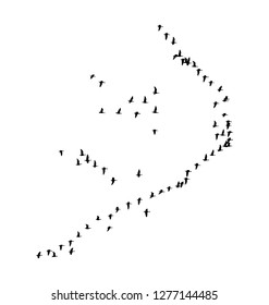 Greater white-fronted goose wedge in flight. Vector silhouette a flock of birds