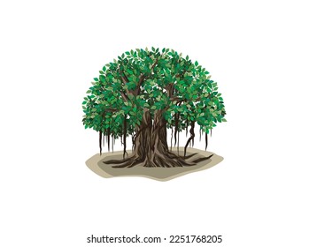 greatest banyan tree vector illustrations