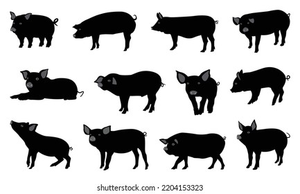 Greatset of graphic illustration of a silhouette of a realistic pig black and white. Vector illustration