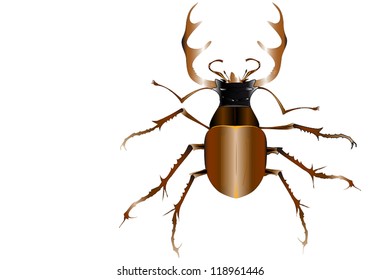 Grebe Great - Lukanus cervus He lives mainly in oak and mixed forests. Spends caduceus wood and speeds up cycle of organic matter in nature. One of the largest beetles in Central Europe