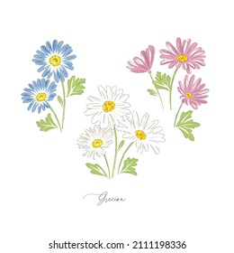 Ilustración vectorial de flor de cáscara de margarita griega dibujada a mano, aislada en blanco. Romántico jardín de cabañas de casas de campo florals curiosidad armario estética estética de impresión.