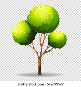 Graue Bäume auf transparentem Hintergrund, Vektorgrafik