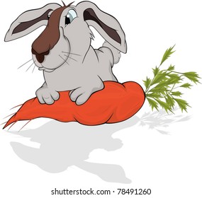 Greedy rabbit and tasty carrot. Cartoon