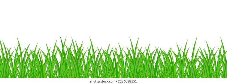 greeen grass background vector illustration