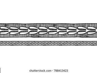 Greek border ornaments with bay leaf. Horizontal seamless pattern. 