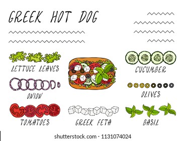 Greek Hot Dog Ingredients Constructor. Feta Cheese, Basil. Olives, Lettuce Salad, Tomato, Cucumber. Fast Food Collection. Hand Drawn High Quality Vector Illustration. Doodle Style.