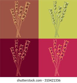 Greek mountain tea vector herb illustration