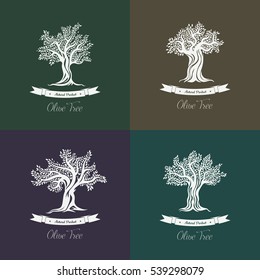 Greek olive trees with branches and ribbons icons set. Berries on twigs and stems. Vegan food or liquid viscous oil natural or organic product. Bottle label or sticker, agriculture and flora theme.
