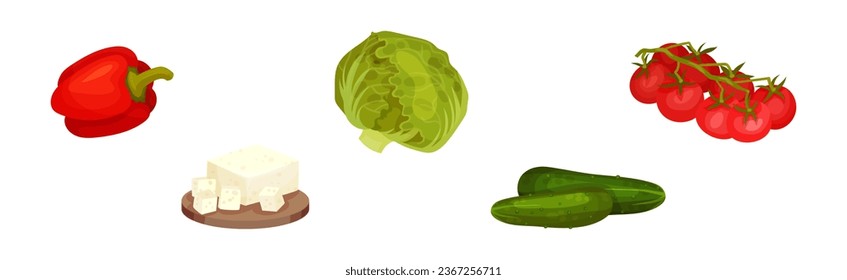 Greek Salad Ingredients with Cabbage, Pepper, Tomato, Cheese and Cucumber Vector Set