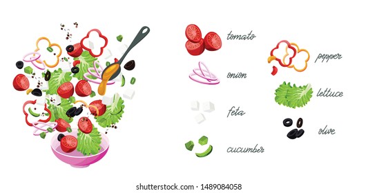 Greek salad Ingredients Constructor. Feta Cheese, Basil, Olives, Lettuce Salad, Tomato, Onion, pepper, Cucumber. Vector.