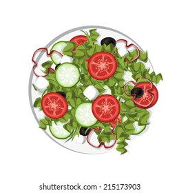 Greek Salad isolated isolated vector
