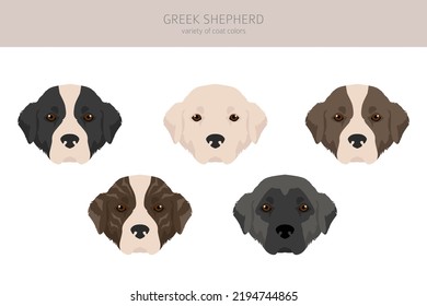 Greek Shepherd clipart. Different coat colors set.  Vector illustration