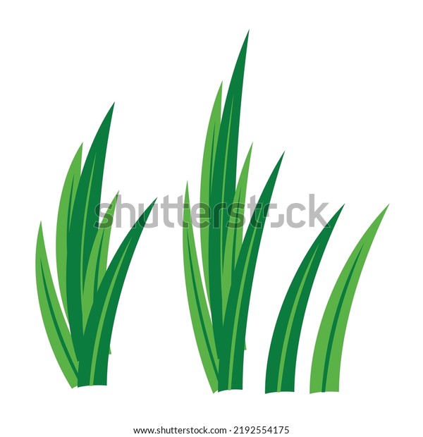 Greem Pandan Leaves Vector Design Stock Vector (Royalty Free ...