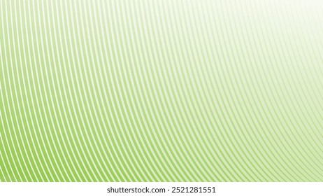 Green abstract background with curve stripes line for backdrop or presentation