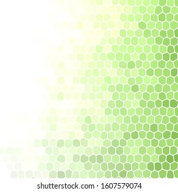 green abstract background made of pebbles. presentation template for a construction company