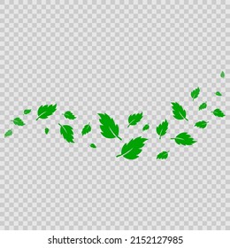 Green abstract curve with natural leaf silhouettes