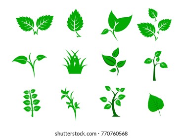 Green abstract leaf icons many natural set on white background. Vector illustration. Nature