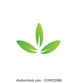 Green abstract leaf icons natural set on white background. Vector illustration.