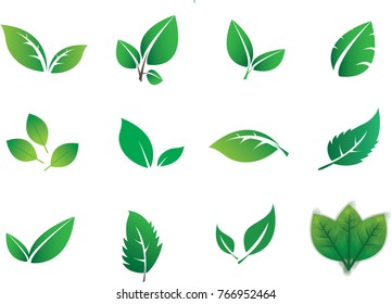 Green abstract leaf icons natural set on white background (Vector illustration)