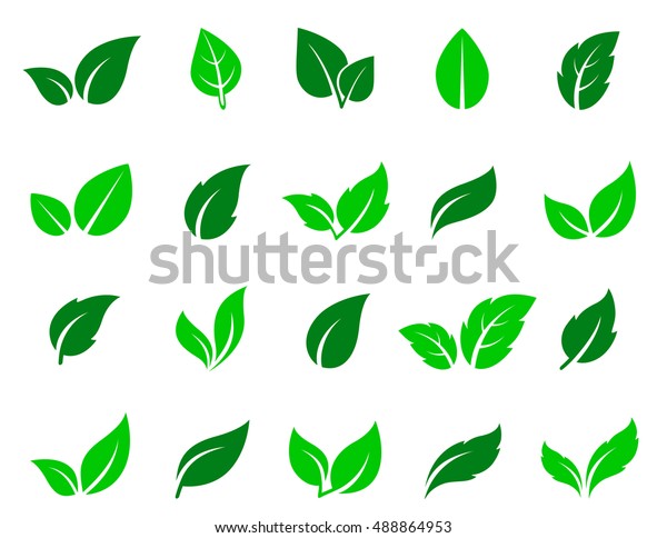 Green abstract leaf icons natural set on\
white background. Vector\
illustration.