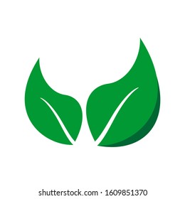 Green abstract leaf. in a trendy style