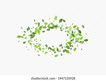 Green Abstract deja la ilustración del fondo del vector transparente. Patrón de follaje de desenfoque. Afiche de las hojas del bosque. Concepto de árbol verde.