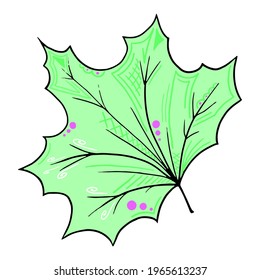Green abstract maple leaf in doodle style with patterns.
Multi-colored pattern and texture on wood leaf, summer, autumn and spring vector illustration isolated for design