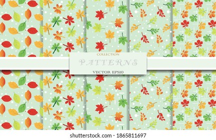 Naturaleza de patrón abstracto verde del vector de colección de diseño de hojas coloridas. Conjunto de ilustraciones de fondo.