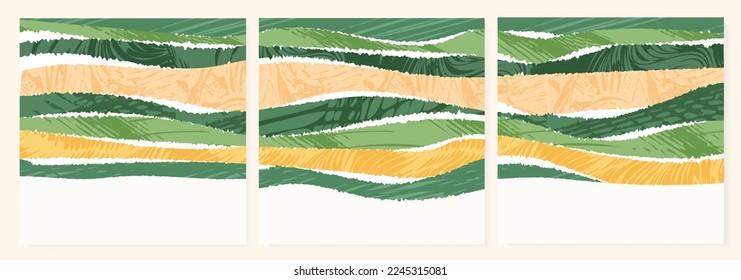 Vista superior del campo de arroz abstracto verde con fondo cuadrado vectorial de textura. Patrón natural, ecoilustración, diseño de postales de campo. Colección del paisaje agrícola, conjunto de afiches ecológicos de simplicidad