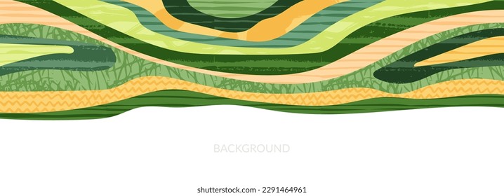 Green abstract rice field top view texture vector background. Nature pattern, eco illustration, countryside banner design. Agriculture horizontal landscape, ecological header layout, rural panorama