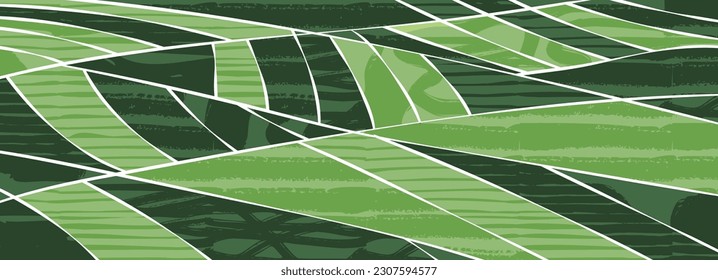 Green abstract rice field top view texture vector background. Nature pattern, eco illustration, countryside banner design. Agriculture horizontal landscape, ecological header layout, rural panorama