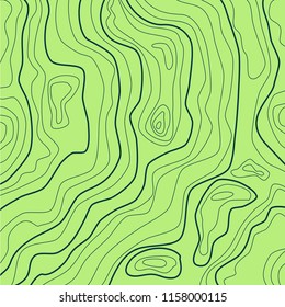 green abstract topographic map, vector
