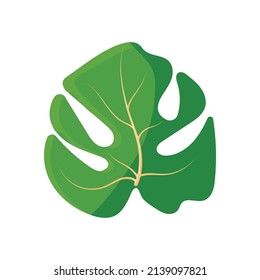 Green abstract tropical leaf a monstera. Template for card, postcard, greeting, poster, banner, cover, book, background, wallpaper. Flat vector illustration 