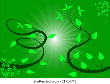 A green abstract vector illustration with winding vines on an red sunburst backdrop
