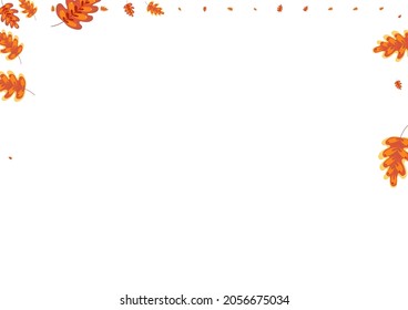 Green Acorn Background White Vector. Plant Wallpaper Set. Red Oak. Decorative Frame. Yellow Leaf Vibrant.