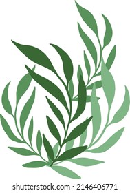 green aesthetic fern tree vector