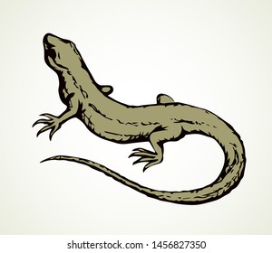 Green african arboreal Lacertilia reptilia on light soil backdrop. Freehand outline black ink hand drawn pictogram emblem design in retro art doodle engrave style pen on paper text space. Closeup view