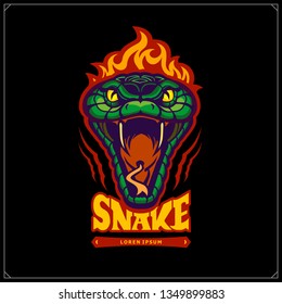 Green aggressive serpent with burning head. Snake emblem. Vector tattoo design. Design for t-shirt, poster and sport club.