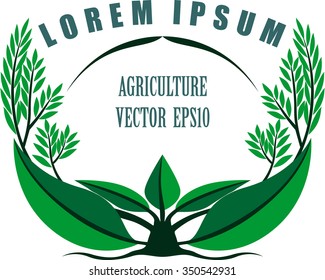 Green agriculture design elements vector such a logo,Letter Q Icons Logo and Elements- vector illustrator