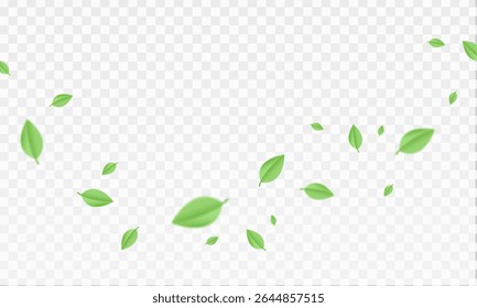 Green  air swirl effect with bright flow with flying mint leaves PNG. Green swirl on transparent background. Vector
